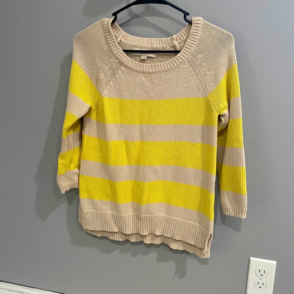 Ann Taylor Loft sweater